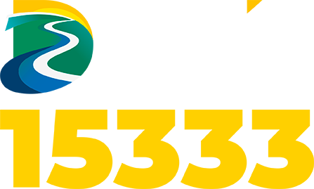 David Bemerguy 15.333, deputado estadual